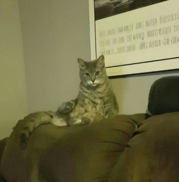 Meet your Posher, Maxime - Picture 1 of 1